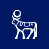 NVO