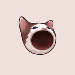 POP